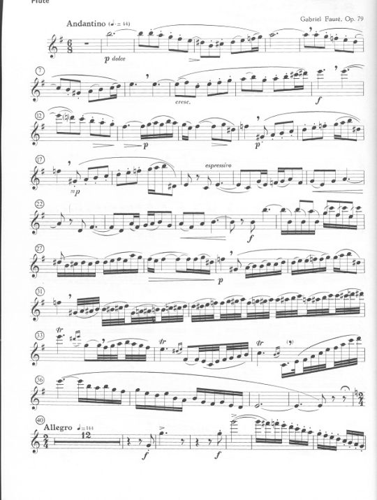 Buy Flute Music by French Composers Online at 15.99 Flute World