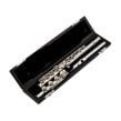 flute music instrument