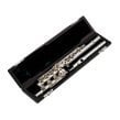 flute musical instrument