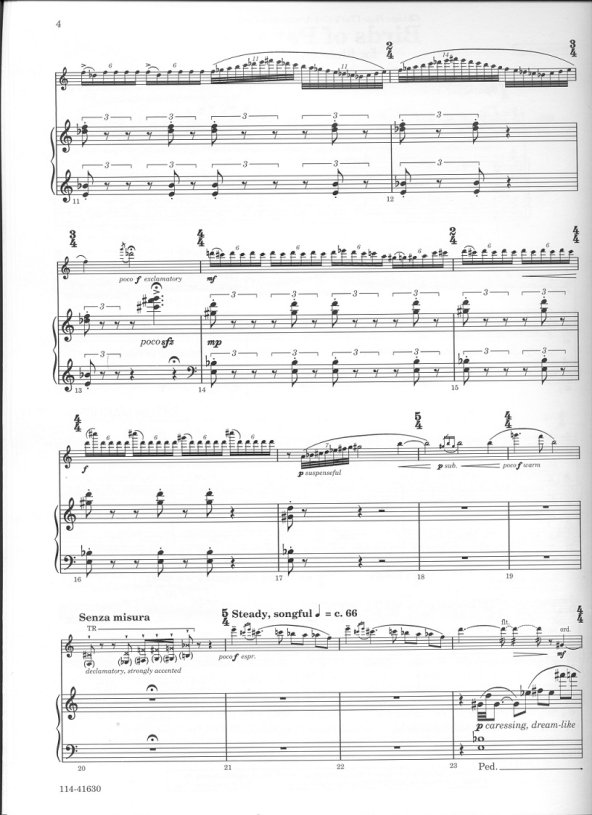 Buy Birds of Paradise Online at $21.99 - Flute World