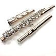 Burkart Professional 9KAg Gold on Silver