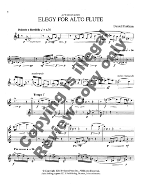 Elegy for Alto Flute