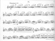 Flute Set