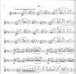 Flute Set