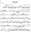 Flute Set