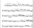 Flute Set