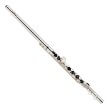 silver alto flute with straight headjoint