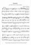 Sonata in a