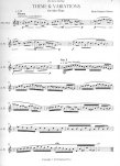 Theme and Variations for Alto Flute