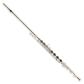Buy Trevor James Flutes at Flute World