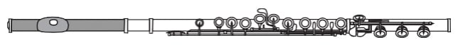 Flute Finder - Pre-Professional