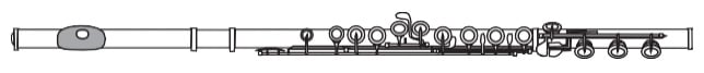 Flute Finder - Pre-Professional
