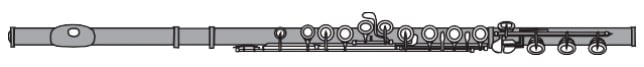 Flute Finder - Pre-Professional