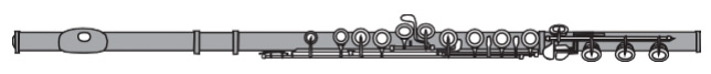 Flute Finder - Young Professional