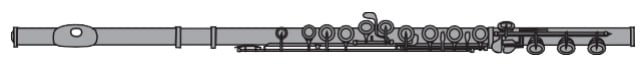 Flute Finder - Young Professional