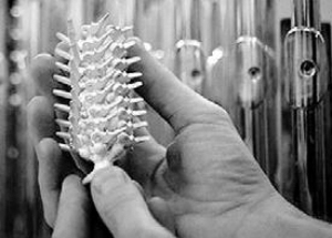 Casting in “trees” yields multiple parts
