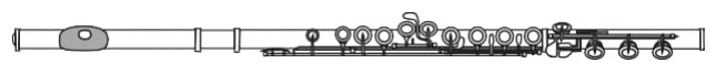 Flute finder chart - Step Up