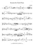 Flute Works By American Composers