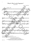 Away in a Manger: Four Carols Settings
