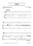 KOTA for Flute and Synthetic Ensemble