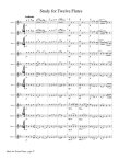 Music for 12 Flutes