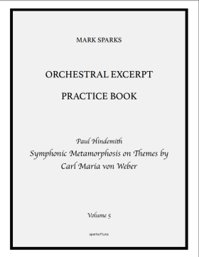Orchestral Excerpt Practice Book (v.5)