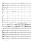Valse di Bravura, Op33 for Two Flutes and Orchestra