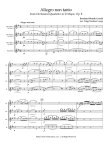 Allegro non tanto, Op8