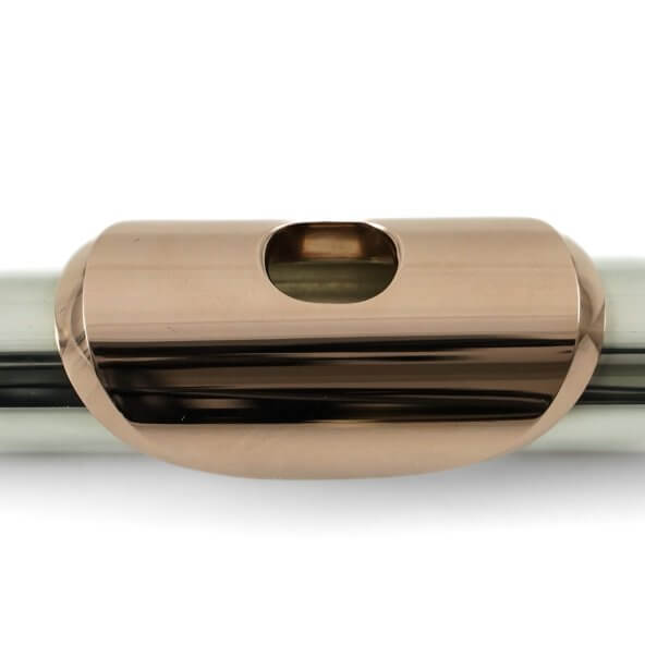 Buy Brannen Silver 14K Gold Lip and Riser Headjoint Certified